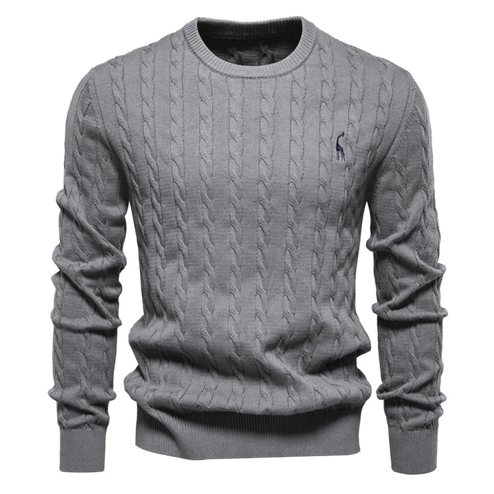 Rogier™ | Classy Men's Jumper
