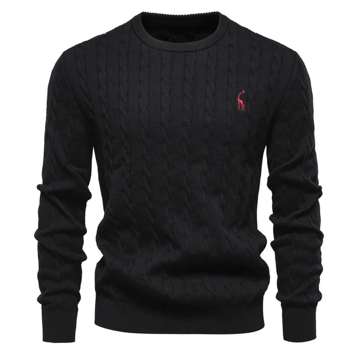 Rogier™ | Classy Men's Jumper