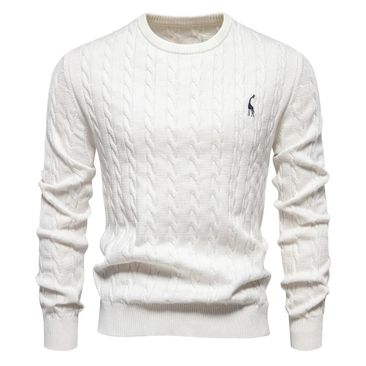 Rogier™ | Classy Men's Jumper